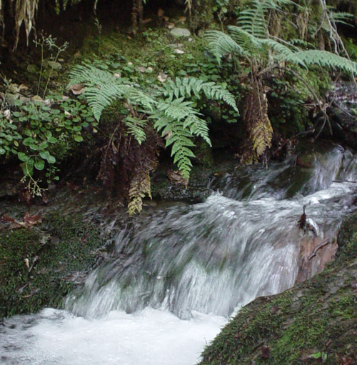 arroyo Rigüelo