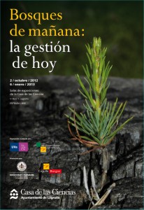 la gestión de los bosques